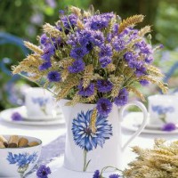  Bylinky léčí a chrání